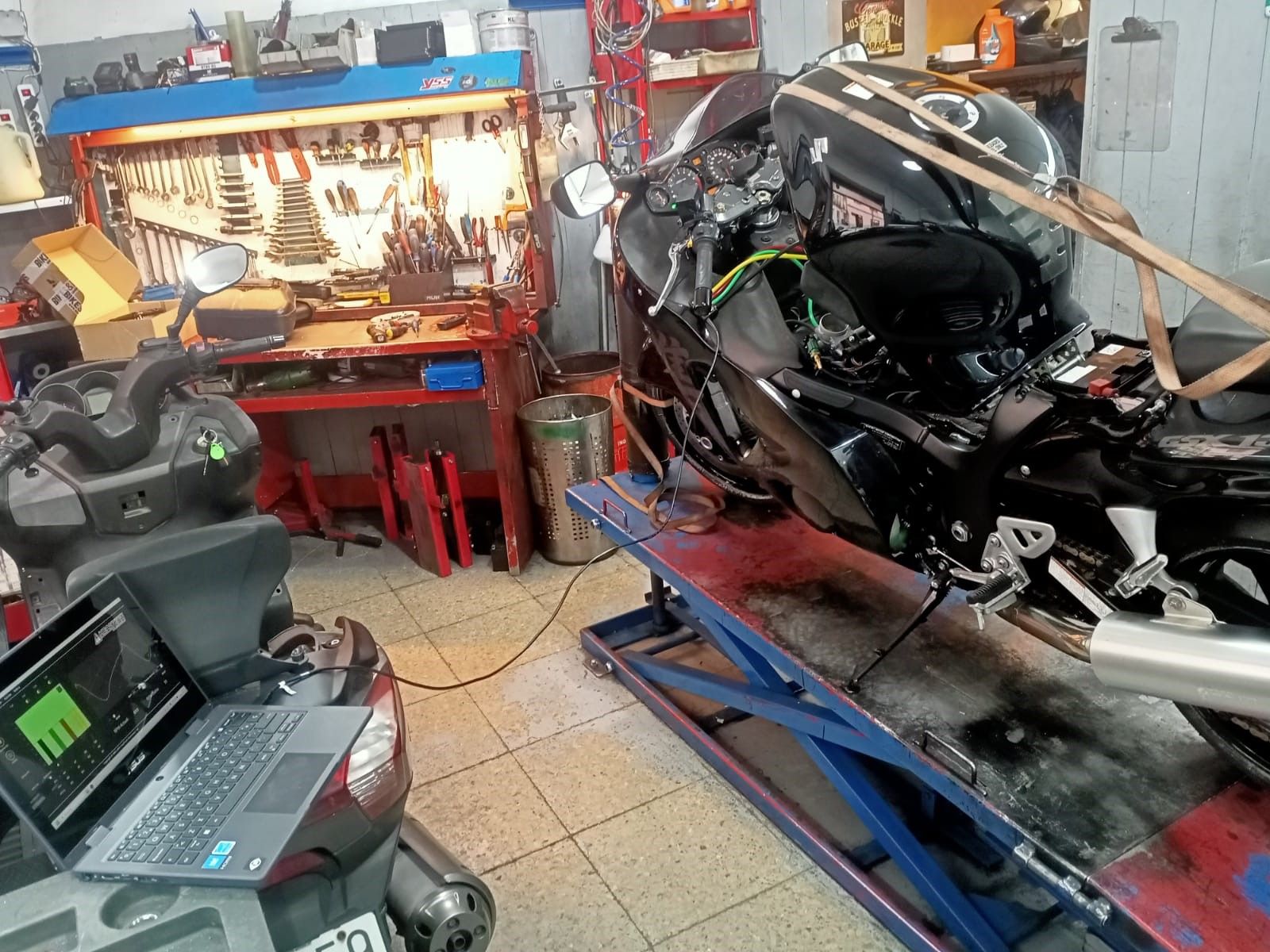 Blue Racer, foto 3 de 6