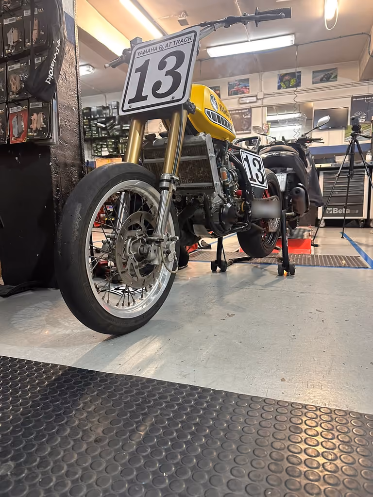 FR'BIKES, foto 5 de 7