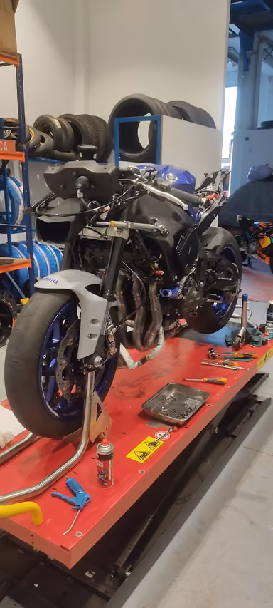 FR'BIKES, foto 6 de 7