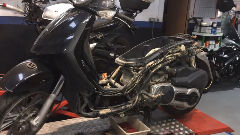 FR'BIKES, foto 7 de 7