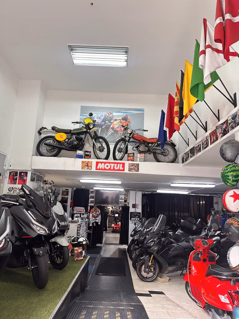 FR'BIKES, foto 4 de 7